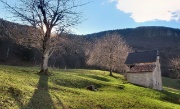 ZUC DI VALBONA - PIAZZOLI E L'AUTUNNO DEI SUOI LARICI - FOTOGALLERY